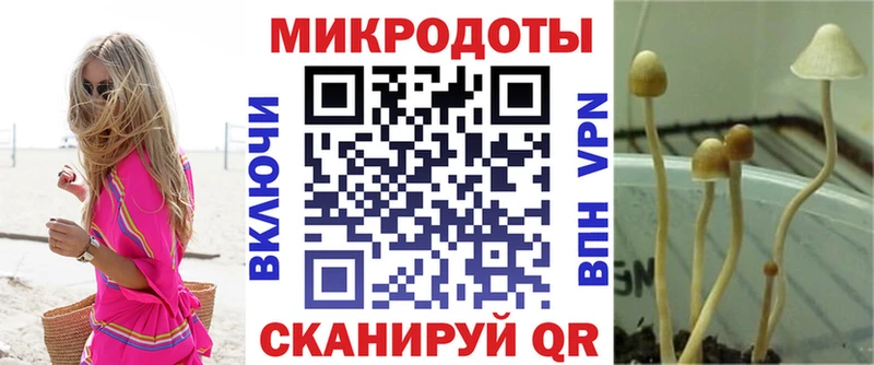 Псилоцибиновые грибы прущие грибы  Минеральные Воды 